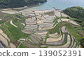 Terraced rice field pattern 139052391