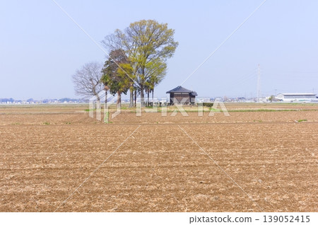 Around Watarase Floodplain, Kazo City, Saitama Prefecture, March 2026 Around Watarase Floodplain, Kazo City, Saitama Prefecture, March 2026 139052415