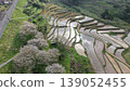A spectacular view of terraced rice fields in spring 139052455