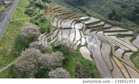 A spectacular view of terraced rice fields in spring A spectacular view of terraced rice fields in spring 139052455