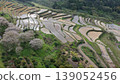 A spectacular view of one of Japan's Top 100 Terraced Rice Fields 139052456