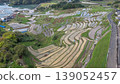 Rice paddy spring 139052457