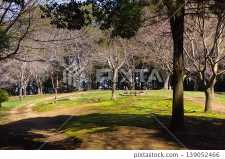 2026年3月,千葉縣柏市手賀之丘公園附近 2026年3月,千葉縣柏市手賀之丘公園附近 139052466