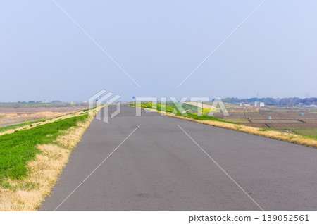 2026年3月,茨城縣甲賀市渡良瀨川自行車道沿線 2026年3月,茨城縣甲賀市渡良瀨川自行車道沿線 139052561