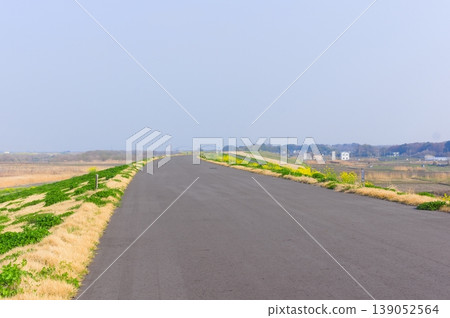 Along the Watarase River Cycling Road in Koga City, Ibaraki Prefecture, March 2026 Along the Watarase River Cycling Road in Koga City, Ibaraki Prefecture, March 2026 139052564