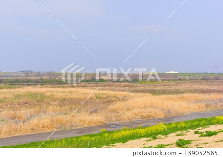 Along the Watarase River Cycling Road in Koga City, Ibaraki Prefecture, March 2026 Along the Watarase River Cycling Road in Koga City, Ibaraki Prefecture, March 2026 139052565