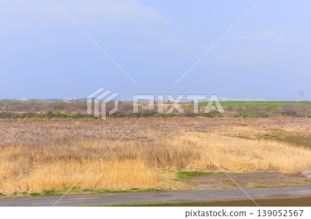 Along the Watarase River Cycling Road in Koga City, Ibaraki Prefecture, March 2026 Along the Watarase River Cycling Road in Koga City, Ibaraki Prefecture, March 2026 139052567