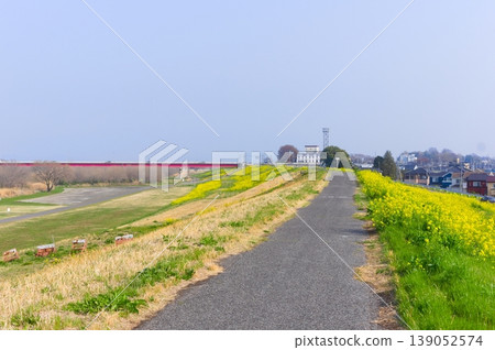 Along the Watarase River Cycling Road in Koga City, Ibaraki Prefecture, March 2026 Along the Watarase River Cycling Road in Koga City, Ibaraki Prefecture, March 2026 139052574