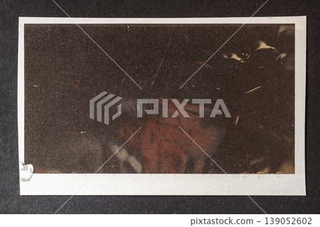 Photo texture with frame border and surface scratches dust marks, film damage, aged photo for design. Natural background for print layout, mockup, poster design, retro style visual content creation Photo texture with frame border and surface scratches dust marks, film damage, aged photo for design. Natural background for print layout, mockup, poster design, retro style visual content creation 139052602