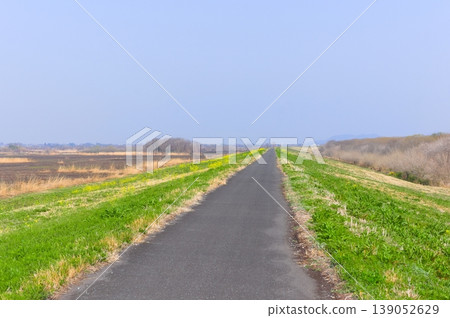 The area around Watarase Floodplain after controlled burning, March 2026. The area around Watarase Floodplain after controlled burning, March 2026. 139052629