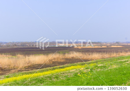 The area around Watarase Floodplain after controlled burning, March 2026. The area around Watarase Floodplain after controlled burning, March 2026. 139052630
