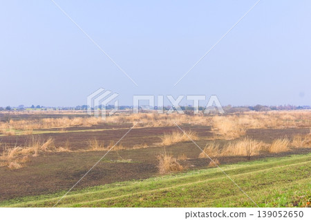 The area around Watarase Floodplain after controlled burning, March 2026. The area around Watarase Floodplain after controlled burning, March 2026. 139052650