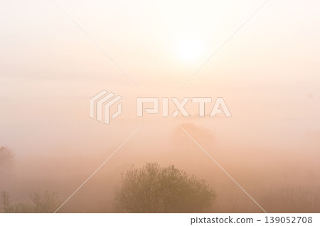 The right bank of the Edogawa River in the fog, March 2026. 139052708