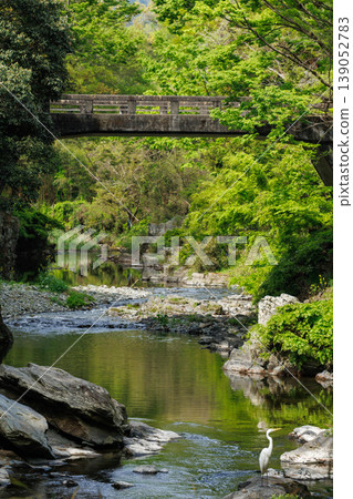 美麗的武藏嵐山山谷,綠意盎然。 美麗的武藏嵐山山谷,綠意盎然。 139052783