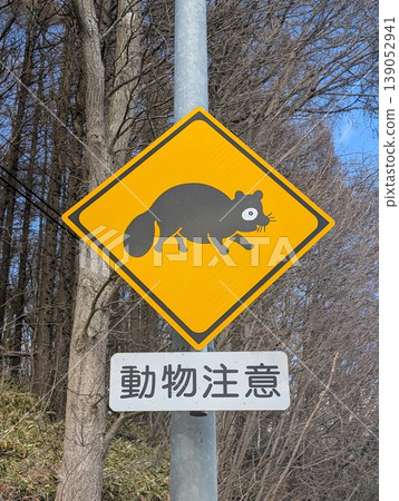 動物警示標誌:貉 動物警示標誌:貉 139052941