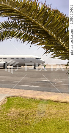 Passenger plane on airport runway under palm leaves Passenger plane on airport runway under palm leaves 139053462