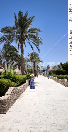 Woman in a summer dress and hat against a background of palm trees and blue sky Woman in a summer dress and hat against a background of palm trees and blue sky 139053490