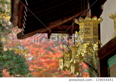 Lanterns and autumn leaves at Kawai Shrine Lanterns and autumn leaves at Kawai Shrine 139054841