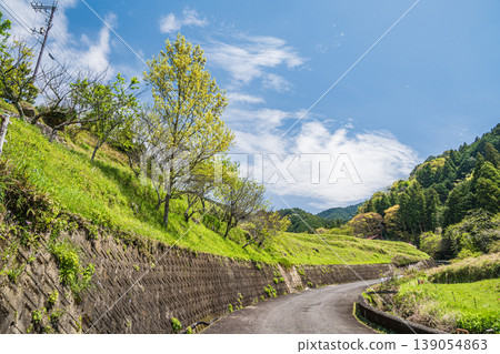 A peaceful spring scene in a mountain village, Asuka Village, Nara Prefecture. A peaceful spring scene in a mountain village, Asuka Village, Nara Prefecture. 139054863