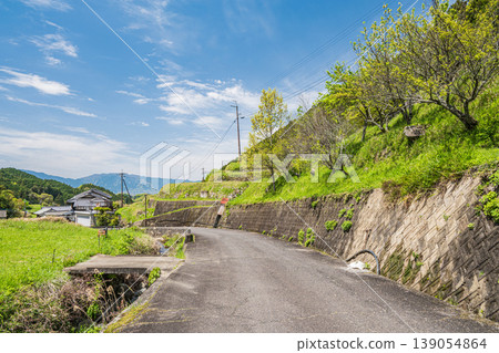 奈良縣飛鳥村，寧靜的春日山村景色。 139054864