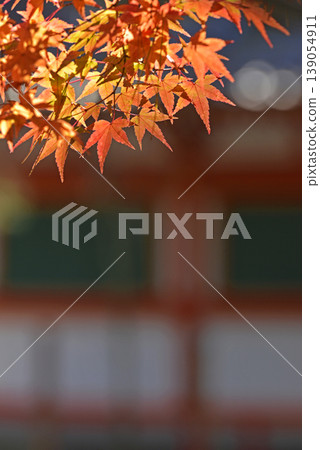 Autumn leaves of maple trees in Kyoto Autumn leaves of maple trees in Kyoto 139054911