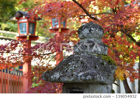 今宮神社的燈籠與秋葉 今宮神社的燈籠與秋葉 139054932