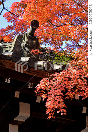 Roof decorations and autumn leaves at Imamiya Shrine Roof decorations and autumn leaves at Imamiya Shrine 139055048