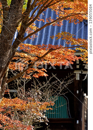 Autumn leaves at Ninna-ji Temple in winter Autumn leaves at Ninna-ji Temple in winter 139055084