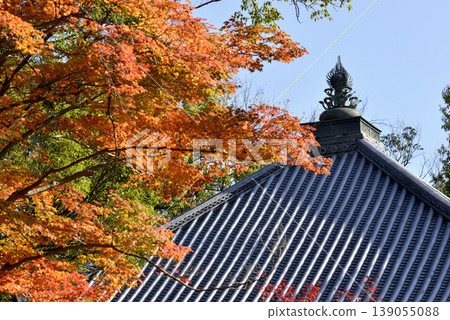 冬日仁和寺的屋頂和秋日的落葉 冬日仁和寺的屋頂和秋日的落葉 139055088