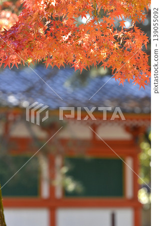 今宮神社的秋葉 139055092