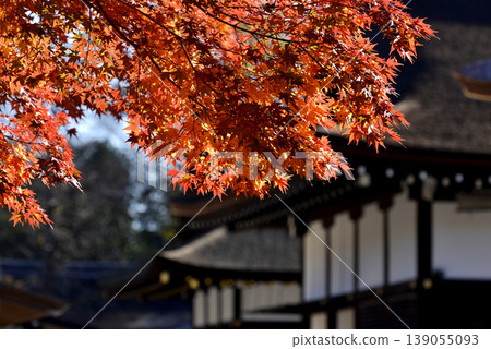 Shimogamo寺廟秋葉 139055093