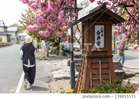 A woman strolling through Shirai-juku in spring A woman strolling through Shirai-juku in spring 139055155