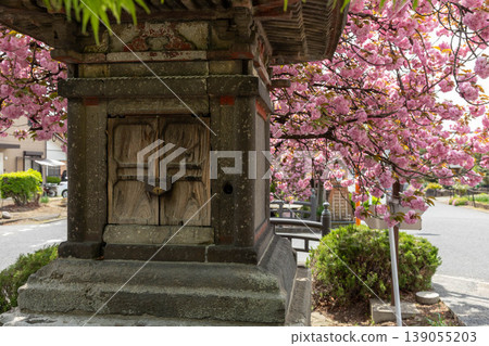 Shirai-juku in spring, Shibukawa City, Gunma Prefecture 139055203