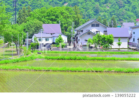 A rural landscape in the fresh green of spring, with rice seedlings and houses at the foot of the mountain, viewed from near the west exit of Echigo-Yuzawa Station. A rural landscape in the fresh green of spring, with rice seedlings and houses at the foot of the mountain, viewed from near the west exit of Echigo-Yuzawa Station. 139055222