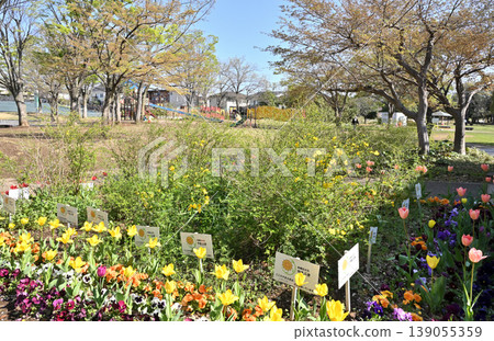岩槻市漫步:岩槻城遺址公園 岩槻市漫步:岩槻城遺址公園 139055359