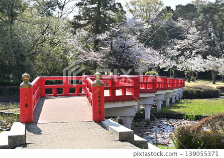 岩槻市漫步:岩槻城遺址公園、鳶尾池上的八橋 岩槻市漫步:岩槻城遺址公園、鳶尾池上的八橋 139055371