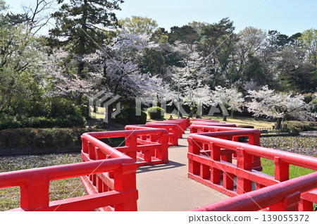 岩槻市漫步:岩槻城遺址公園、鳶尾池上的八橋 岩槻市漫步:岩槻城遺址公園、鳶尾池上的八橋 139055372