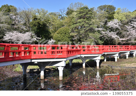 岩槻市漫步:岩槻城遺址公園、鳶尾池上的八橋 岩槻市漫步:岩槻城遺址公園、鳶尾池上的八橋 139055375