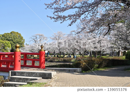 岩槻市漫步:岩槻城遺址公園、鳶尾池上的八橋 岩槻市漫步:岩槻城遺址公園、鳶尾池上的八橋 139055376