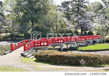 岩槻市漫步:岩槻城遺址公園、鳶尾池上的八橋 岩槻市漫步:岩槻城遺址公園、鳶尾池上的八橋 139055380