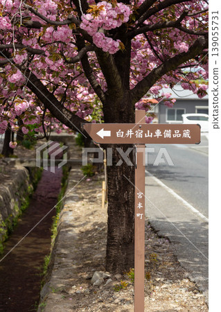 群馬縣澀川市春天的白井宿 群馬縣澀川市春天的白井宿 139055731