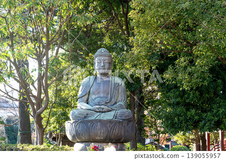 Large bronze Buddha statue meditating on a lotus base in a tranquil Japanese garden. Lush green trees and soft sunlight create a peaceful atmosphere. Ideal for zen and mindfulness concepts. Large bronze Buddha statue meditating on a lotus base in a tranquil Japanese garden. Lush green trees and soft sunlight create a peaceful atmosphere. Ideal for zen and mindfulness concepts. 139055957