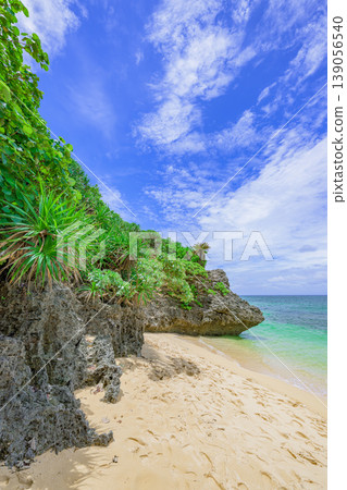 石垣島上的熱帶海灘,擁有湛藍的海水和潔白的沙灘。 石垣島上的熱帶海灘,擁有湛藍的海水和潔白的沙灘。 139056540