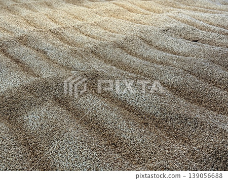 蘇格蘭艾雷島一家威士忌酒廠的傳統地板式發芽工藝。 蘇格蘭艾雷島一家威士忌酒廠的傳統地板式發芽工藝。 139056688