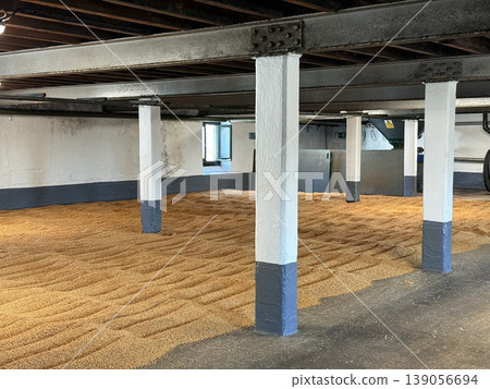 A traditional floor malting process at a whisky distillery on the Isle of Islay in Scotland. A traditional floor malting process at a whisky distillery on the Isle of Islay in Scotland. 139056694