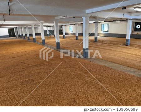 A traditional floor malting process at a whisky distillery on the Isle of Islay in Scotland. A traditional floor malting process at a whisky distillery on the Isle of Islay in Scotland. 139056699
