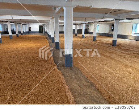 A traditional floor malting process at a whisky distillery on the Isle of Islay in Scotland. A traditional floor malting process at a whisky distillery on the Isle of Islay in Scotland. 139056702