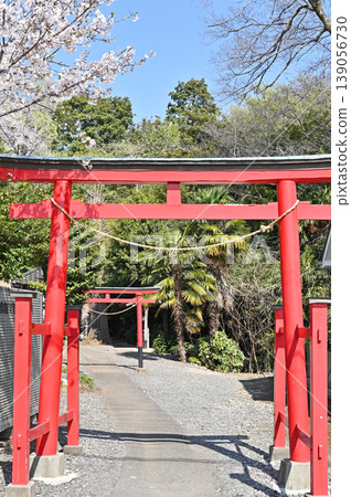 A walk around Iwatsuki: Inari Shrine A walk around Iwatsuki: Inari Shrine 139056730