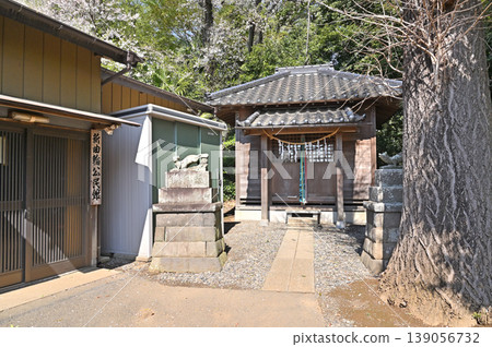A walk around Iwatsuki: Inari Shrine A walk around Iwatsuki: Inari Shrine 139056732