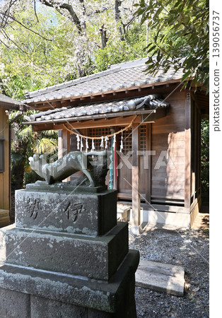 岩槻市漫步:稻荷神社 岩槻市漫步:稻荷神社 139056737